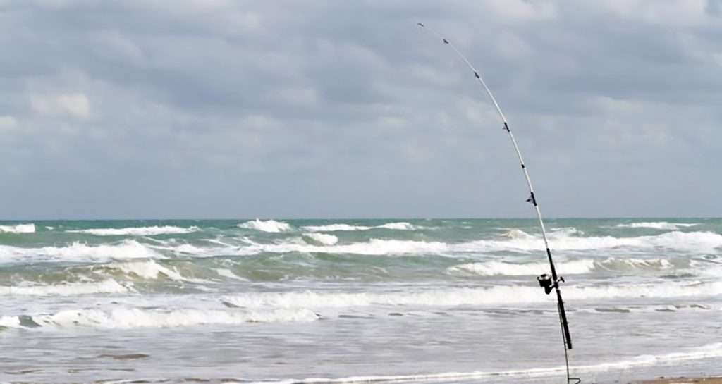 What Every Angler Should Know Before Surf Fishing
